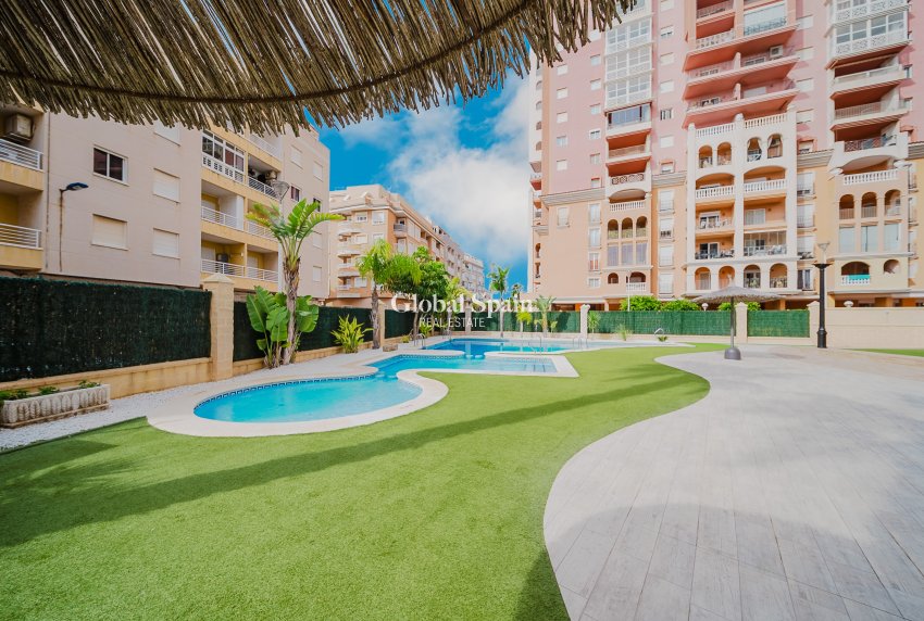 Wederverkoop - Appartement -
TORREVIEJA - Playa de los locos
