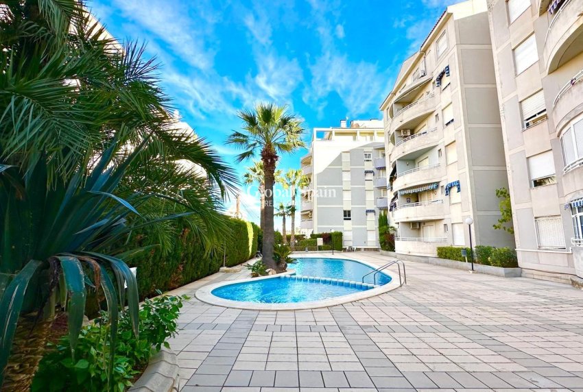 Wederverkoop - APPARTEMENT -
TORREVIEJA - Playa del Cura