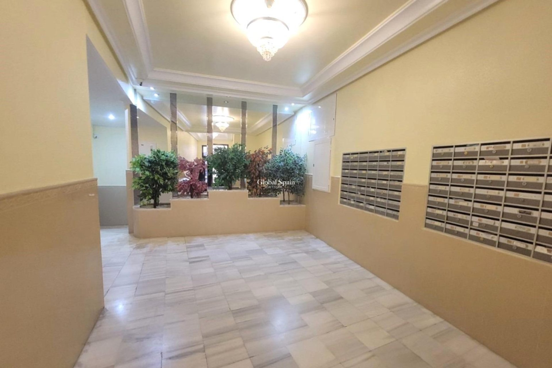 Wederverkoop - APPARTEMENT -
TORREVIEJA - Playa del Cura
