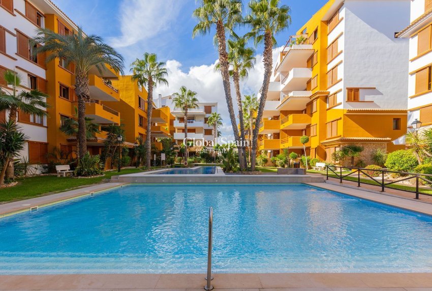 Wederverkoop - APPARTEMENT -
TORREVIEJA - Punta Prima