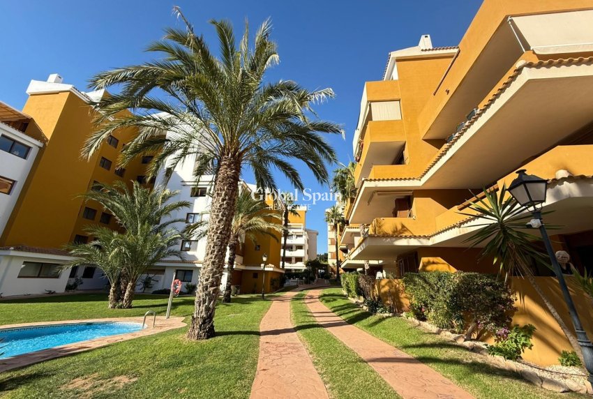 Wederverkoop - APPARTEMENT -
TORREVIEJA - Punta Prima