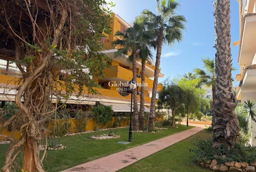 Wederverkoop - APPARTEMENT -
TORREVIEJA - Punta Prima