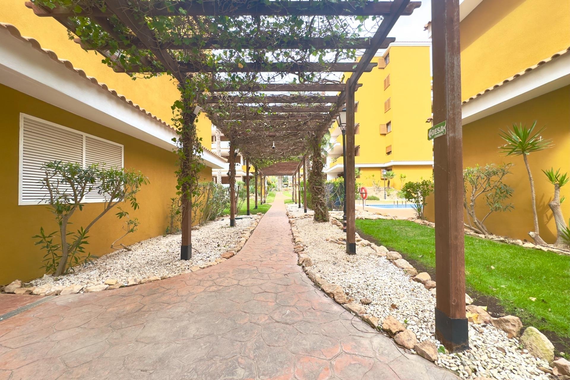 Wederverkoop - APPARTEMENT -
TORREVIEJA - Punta prima