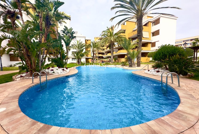 Wederverkoop - APPARTEMENT -
TORREVIEJA - Punta prima