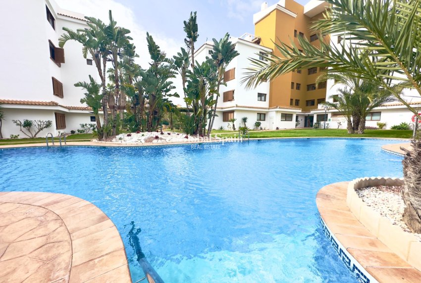 Wederverkoop - APPARTEMENT -
TORREVIEJA - Punta prima