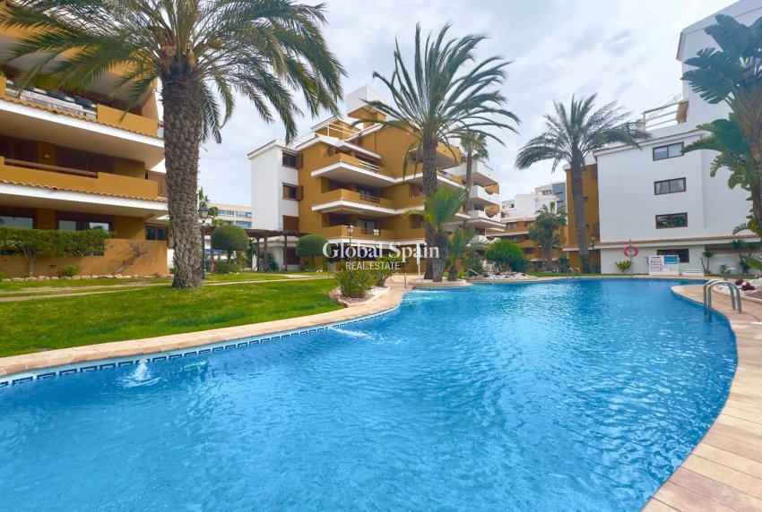 Wederverkoop - APPARTEMENT -
TORREVIEJA - Punta prima