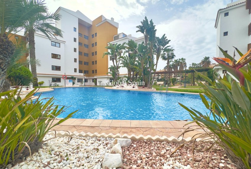 Wederverkoop - APPARTEMENT -
TORREVIEJA - Punta prima