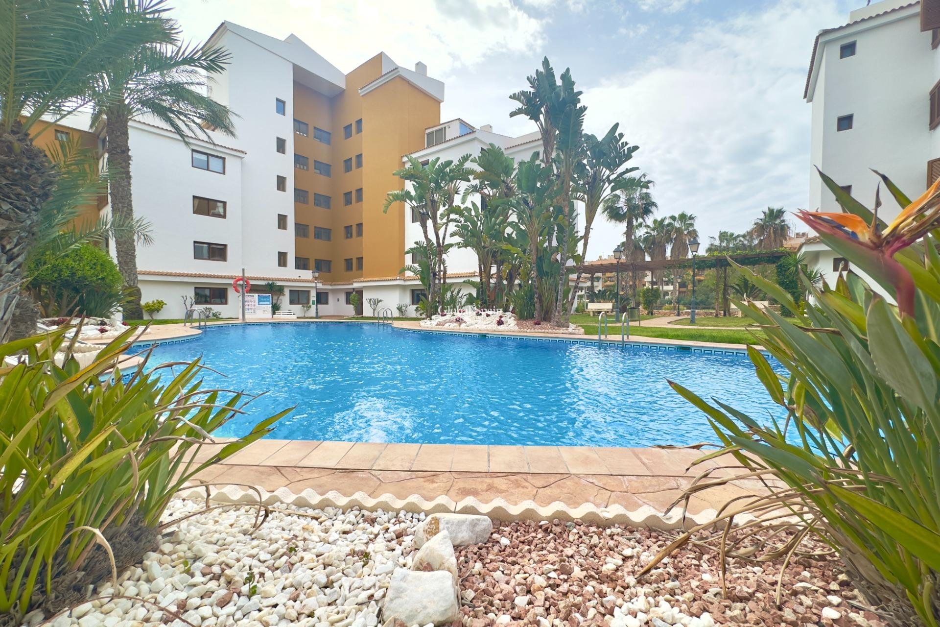 Wederverkoop - APPARTEMENT -
TORREVIEJA - Punta prima