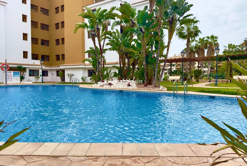 Wederverkoop - APPARTEMENT -
TORREVIEJA - Punta prima