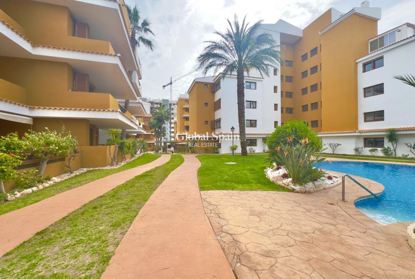 Wederverkoop - APPARTEMENT -
TORREVIEJA - Punta prima