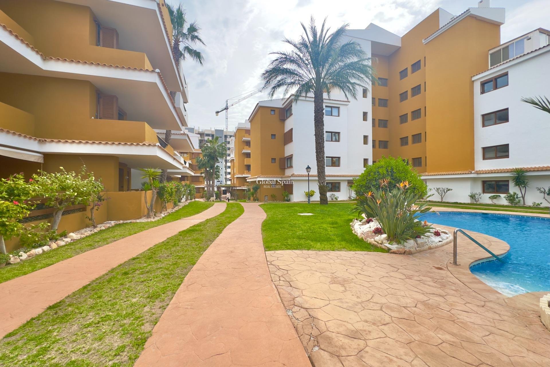 Wederverkoop - APPARTEMENT -
TORREVIEJA - Punta prima