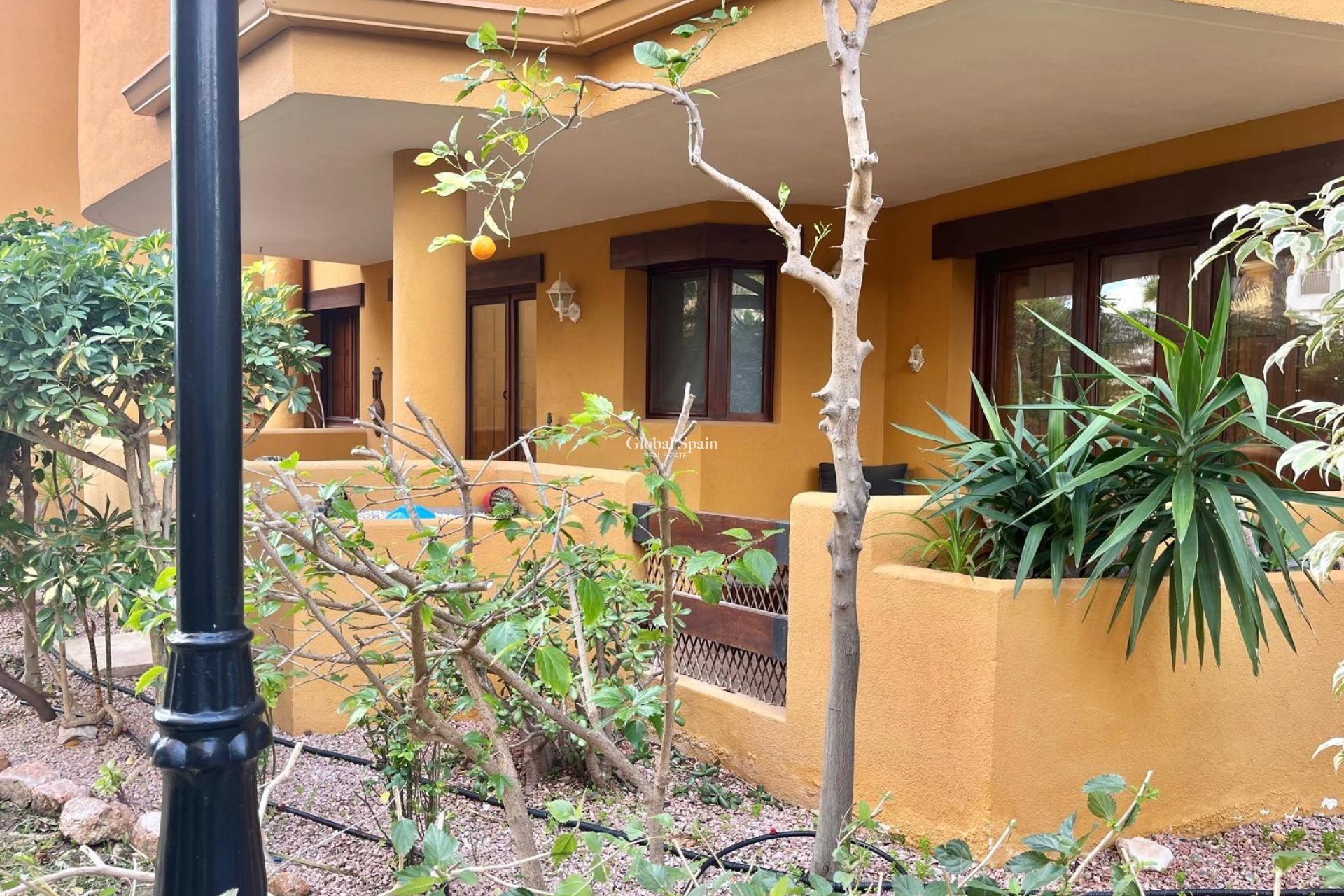 Wederverkoop - APPARTEMENT -
TORREVIEJA - Punta Prima