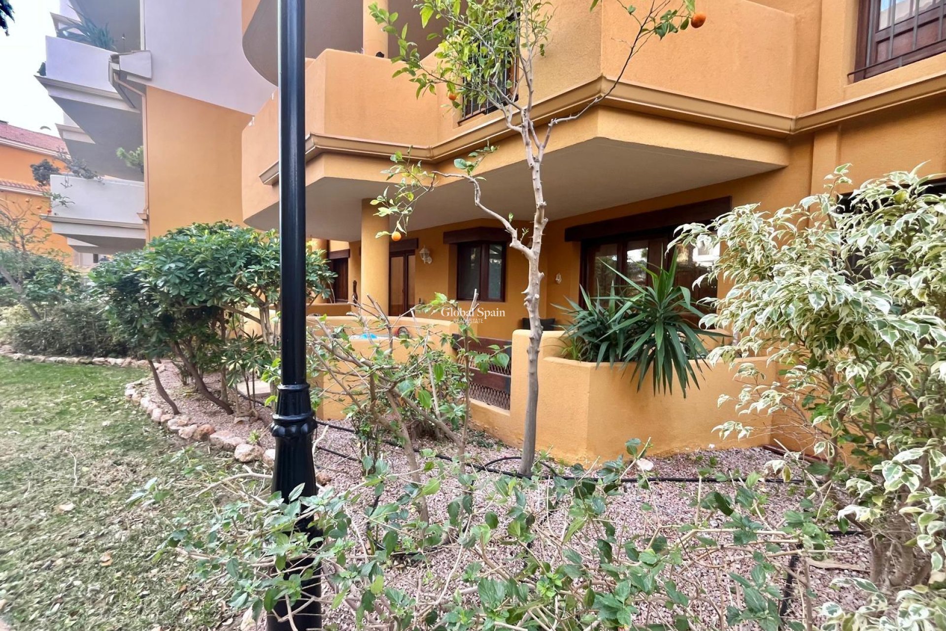 Wederverkoop - APPARTEMENT -
TORREVIEJA - Punta Prima