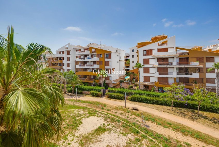 Wederverkoop - APPARTEMENT -
TORREVIEJA - Punta Prima