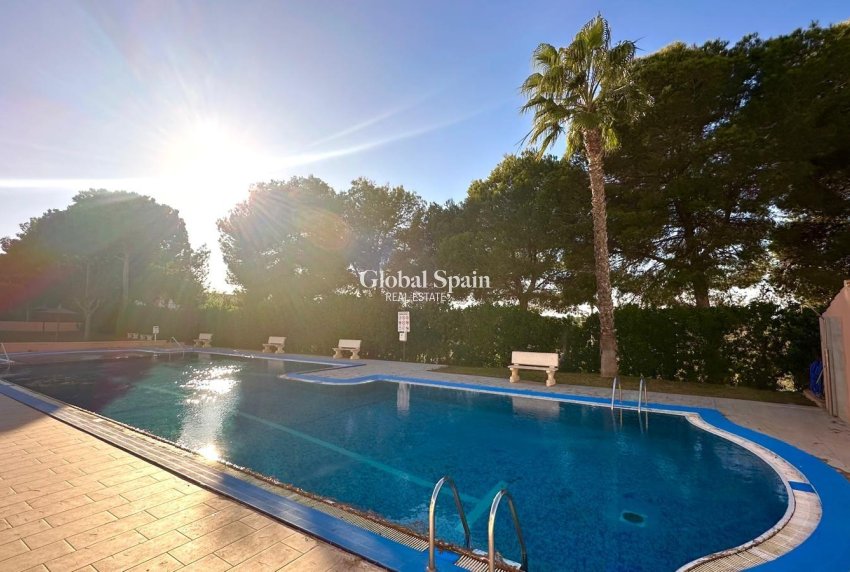 Wederverkoop - APPARTEMENT -
TORREVIEJA - Torreblanca