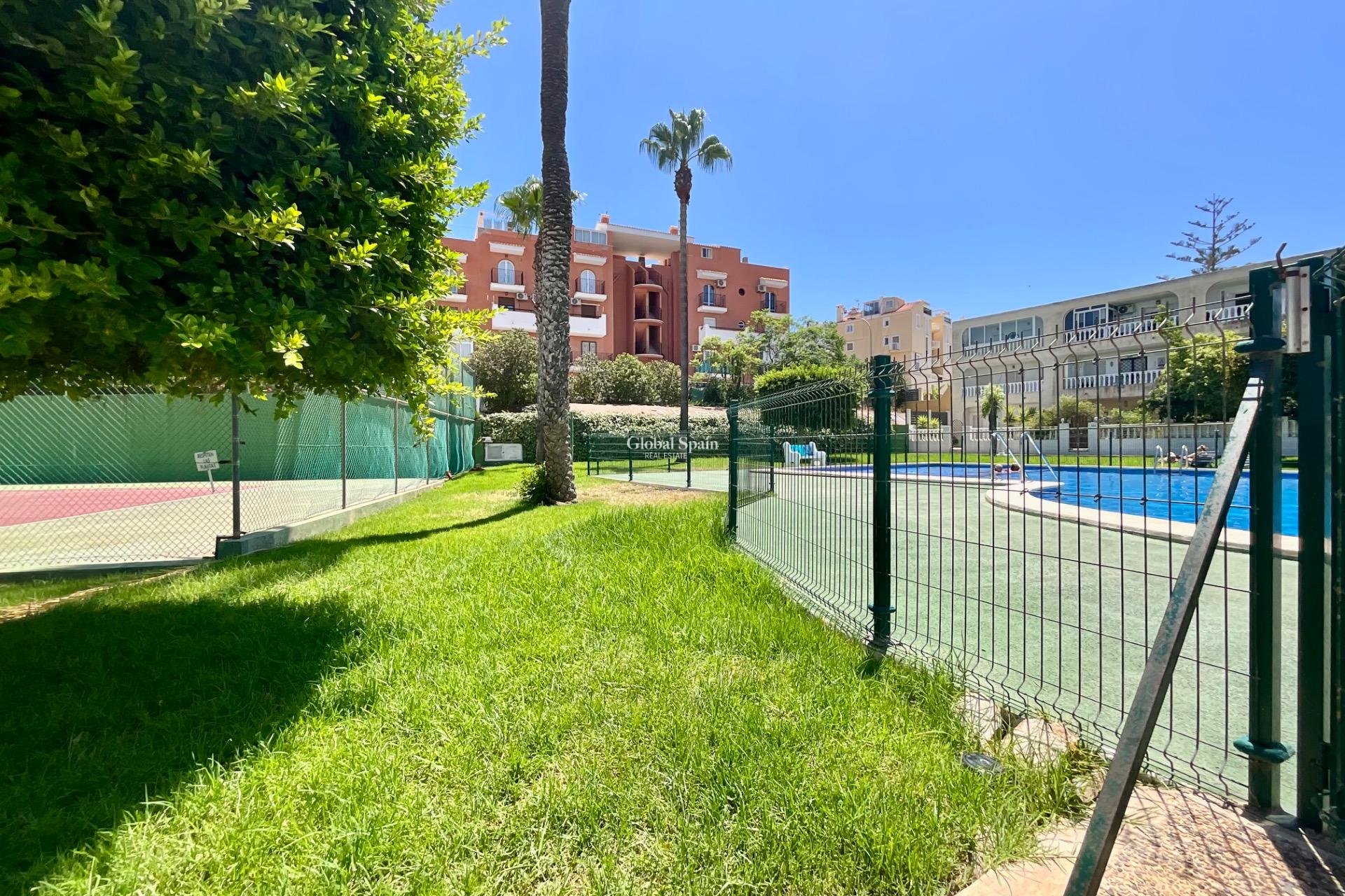 Wederverkoop - APPARTEMENT -
TORREVIEJA - Torreblanca