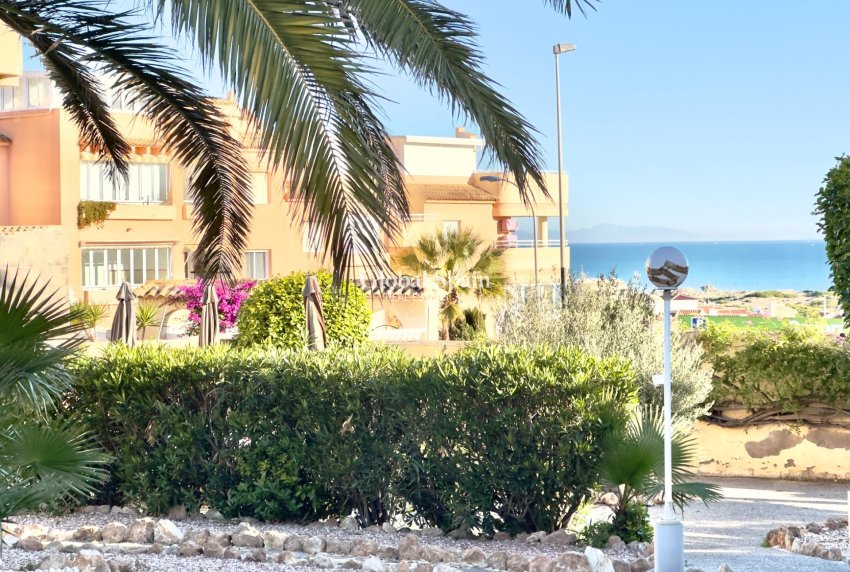 Wederverkoop - APPARTEMENT -
TORREVIEJA - Torreblanca