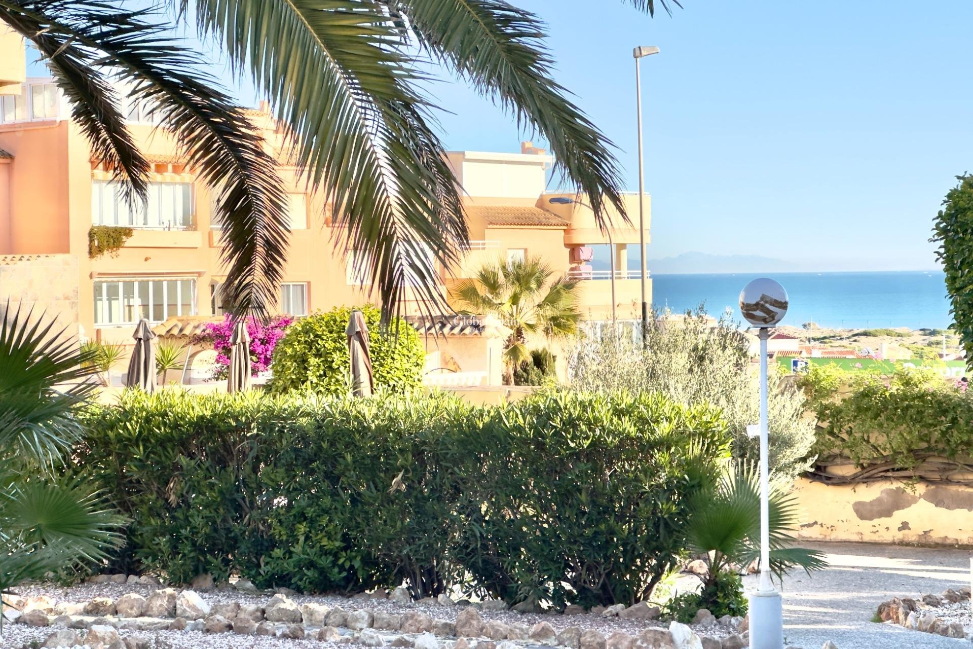 Wederverkoop - APPARTEMENT -
TORREVIEJA - Torreblanca