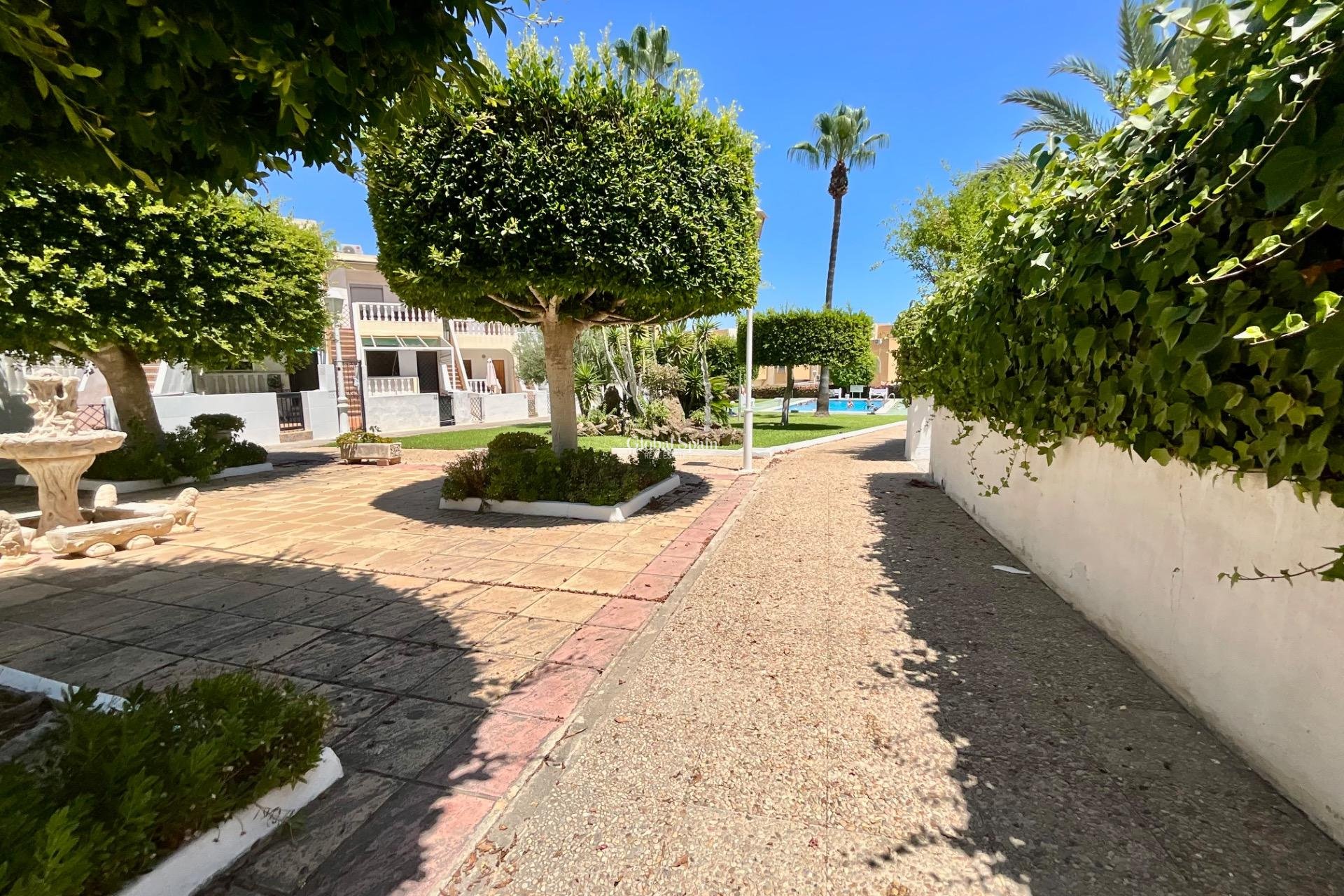 Wederverkoop - APPARTEMENT -
TORREVIEJA - Torreblanca
