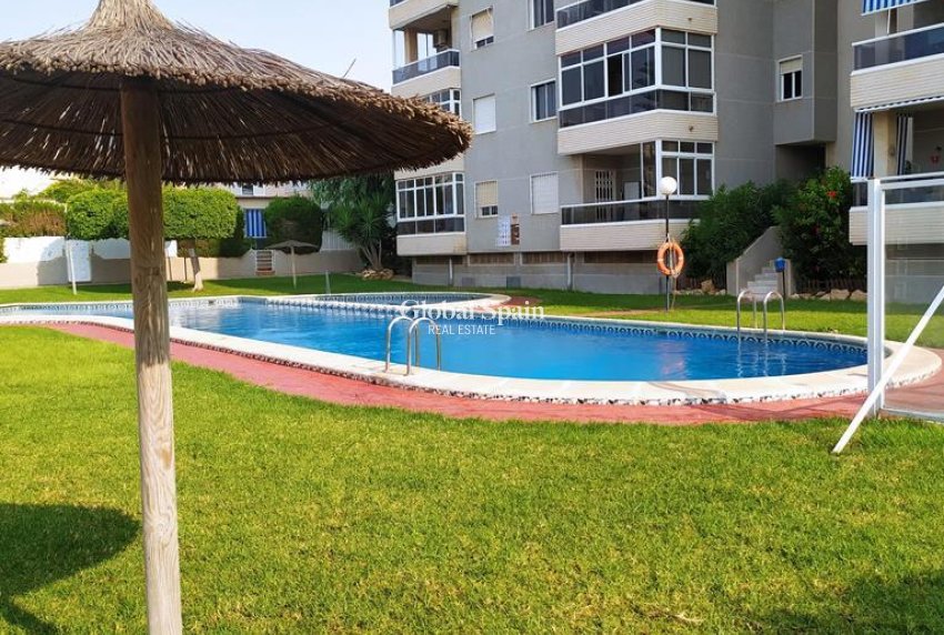 Wederverkoop - APPARTEMENT -
TORREVIEJA - Torreblanca