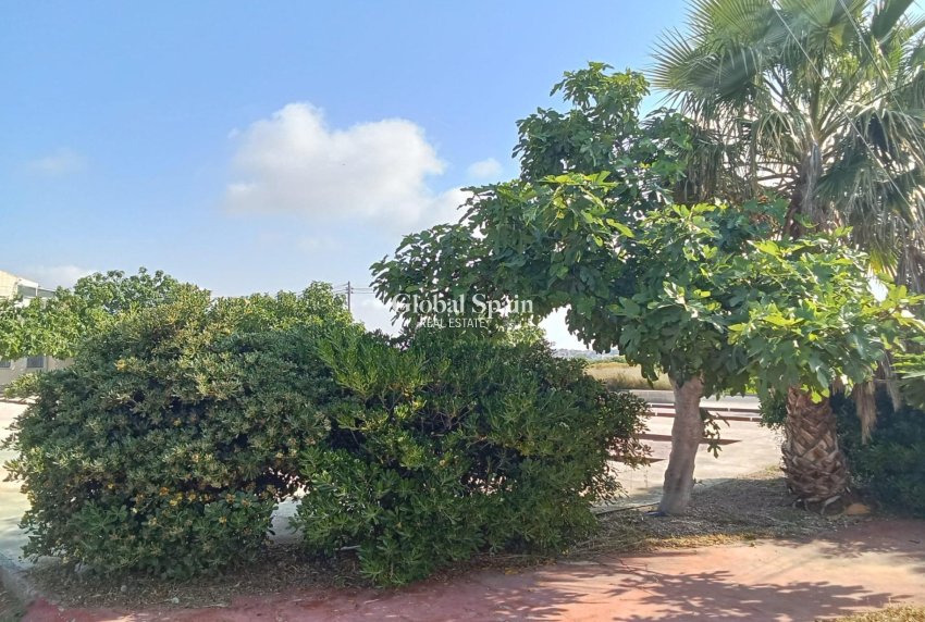 Wederverkoop - APPARTEMENT -
TORREVIEJA - Torretas