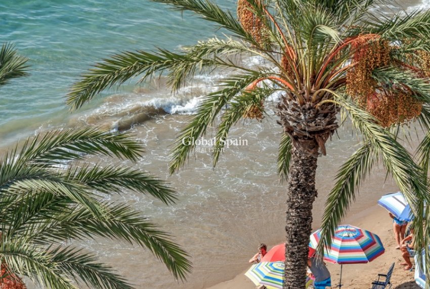 Wederverkoop - APPARTEMENT -
TORREVIEJA - Torrevieja