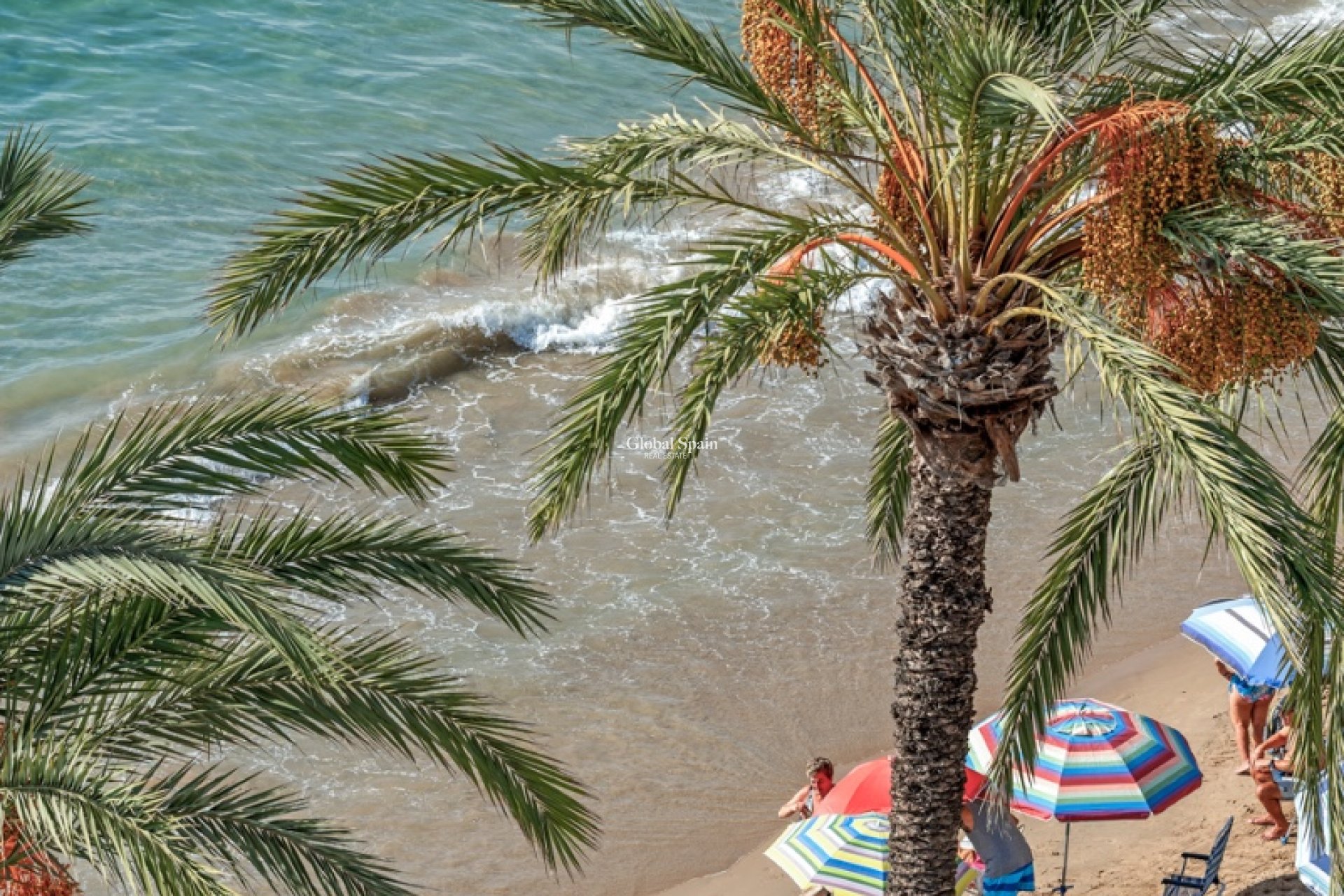 Wederverkoop - APPARTEMENT -
TORREVIEJA - Torrevieja