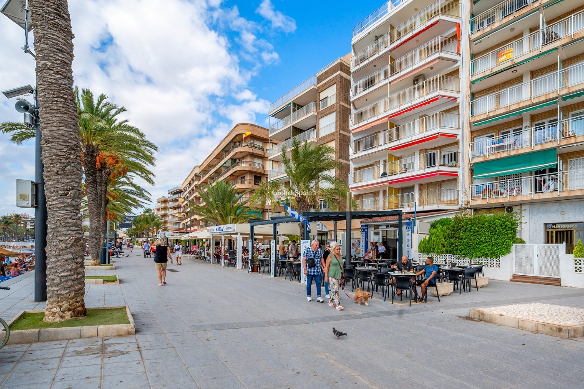 Wederverkoop - APPARTEMENT -
TORREVIEJA - Torrevieja