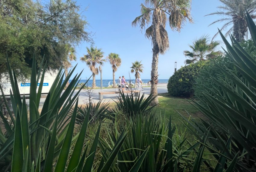 Wederverkoop - COMMERCIEEL VASTGOED -
TORREVIEJA - Comunidad Valenciana