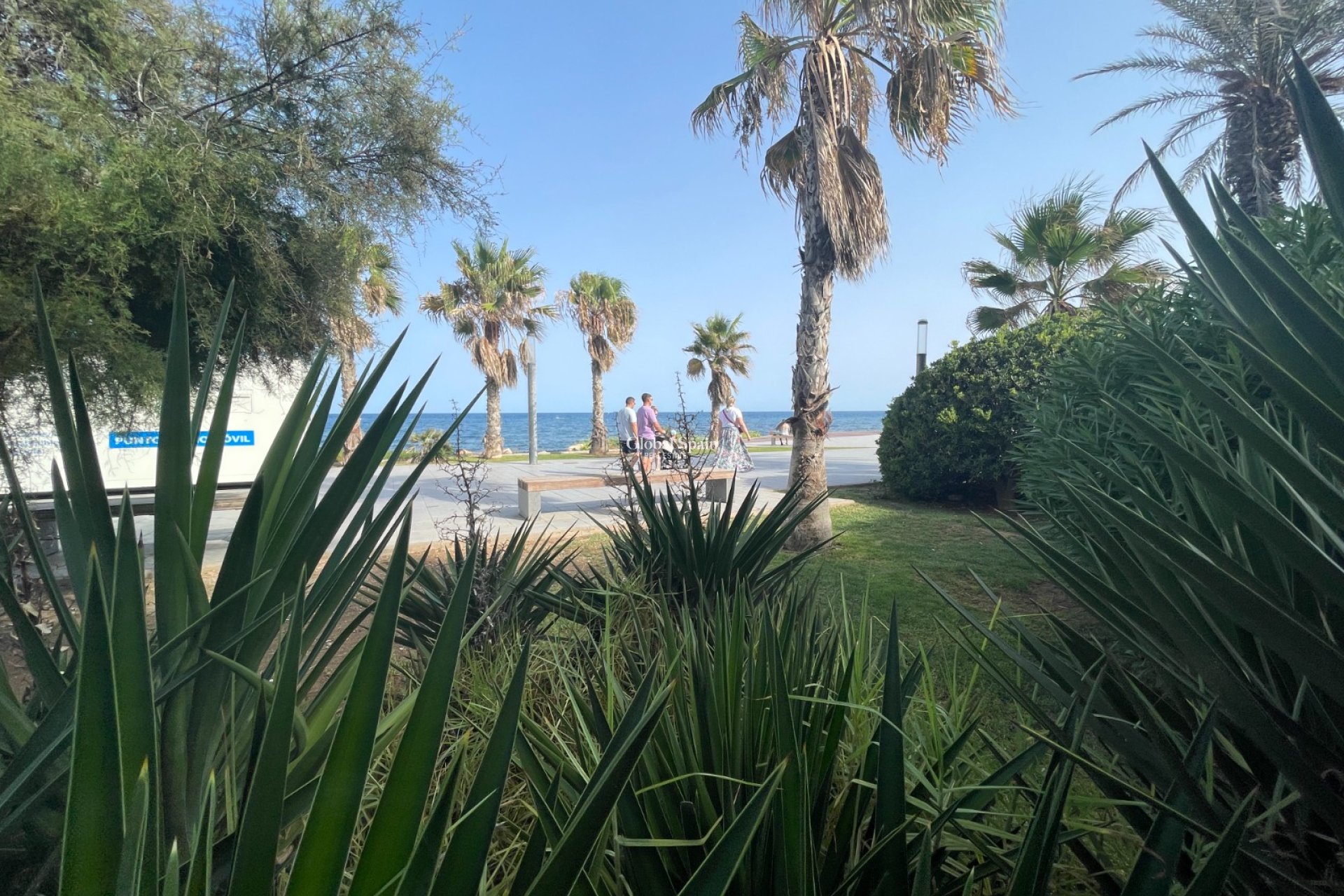 Wederverkoop - Commerciële ruimte -
Torrevieia - Comunidad Valenciana