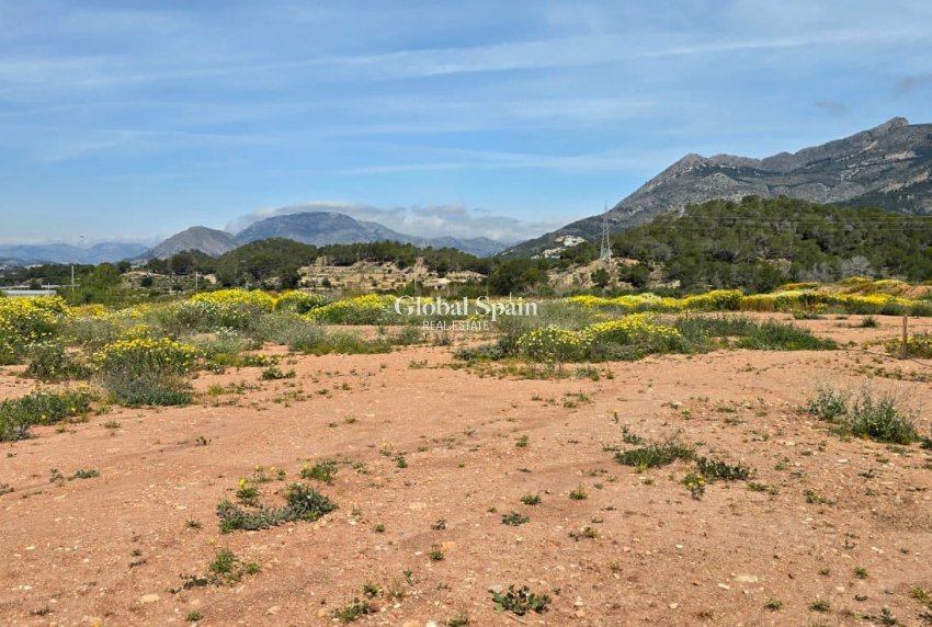 Wederverkoop - GROND -
ALTEA - Olla Altea