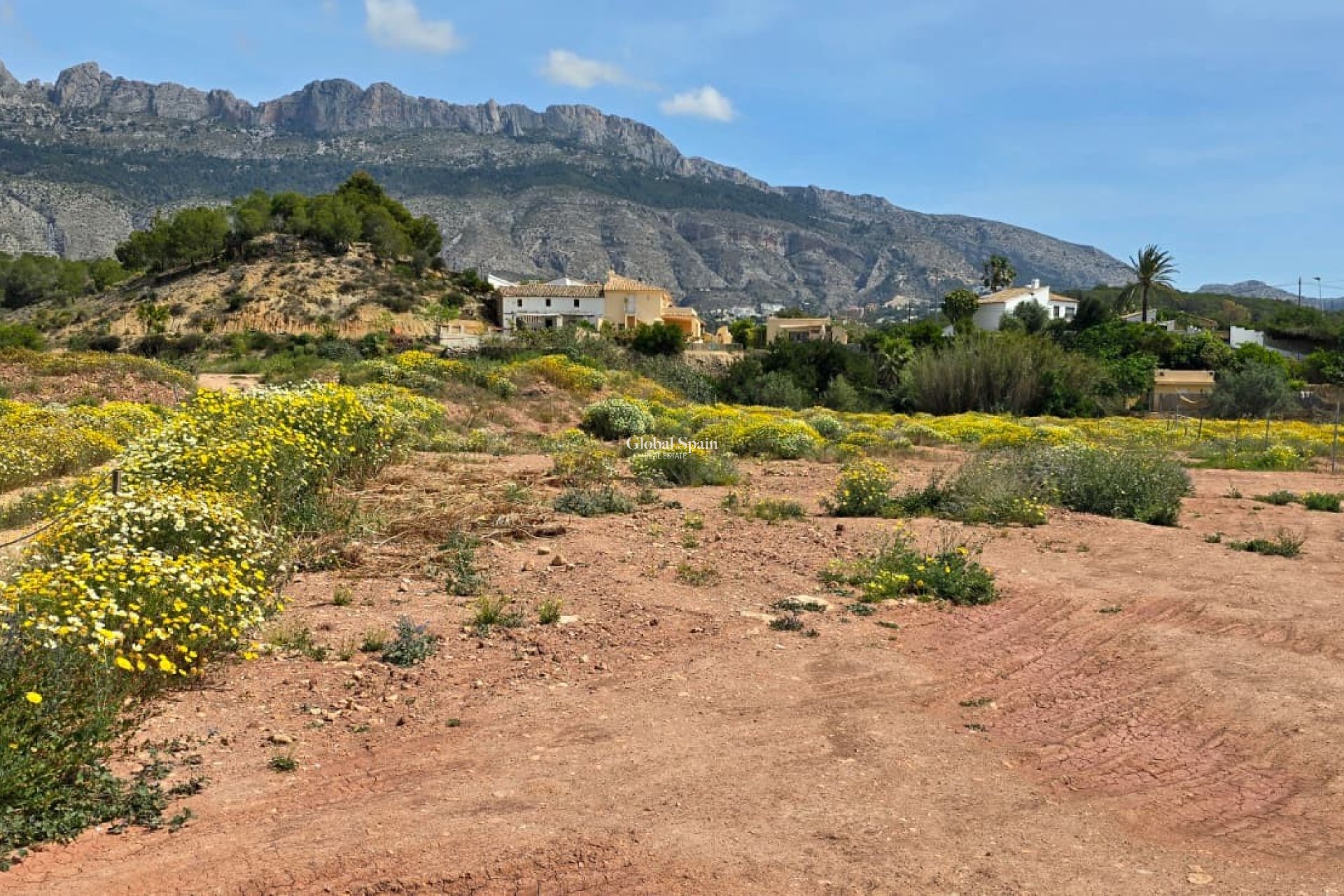 Wederverkoop - GROND -
ALTEA