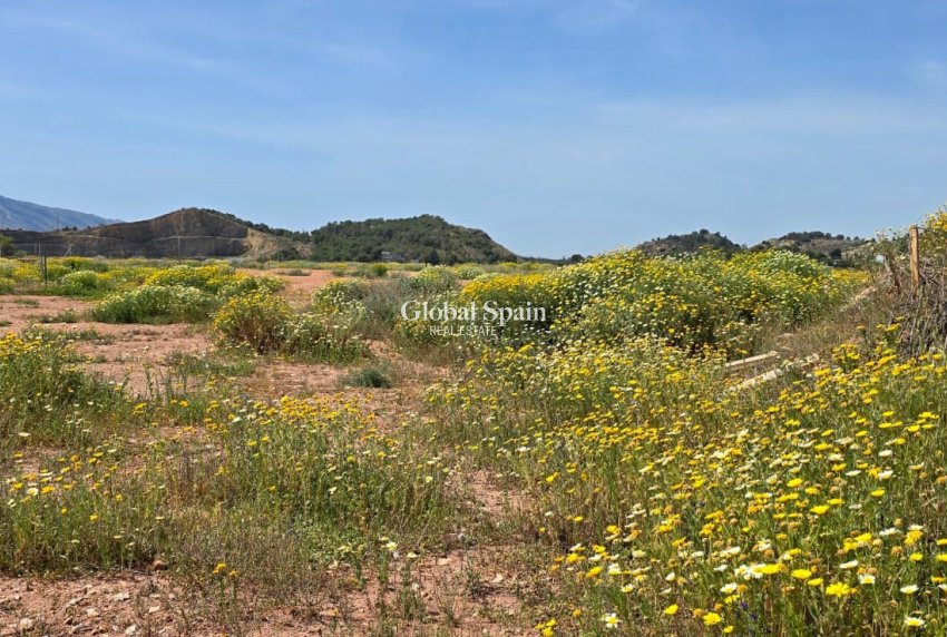 Wederverkoop - GROND -
ALTEA
