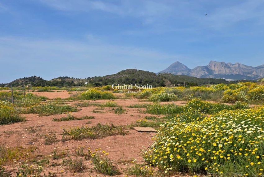 Wederverkoop - GROND -
ALTEA