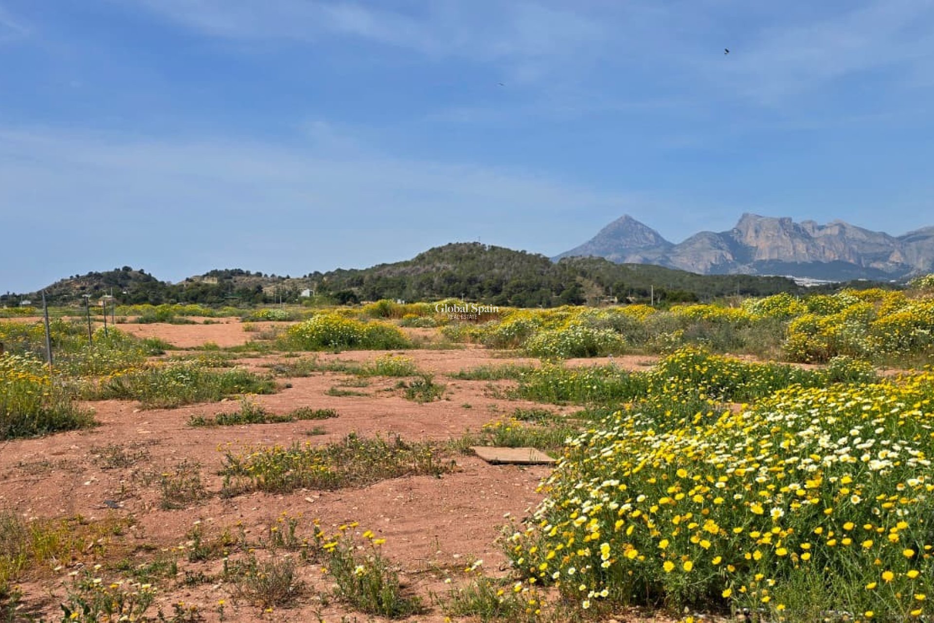 Wederverkoop - GROND -
ALTEA