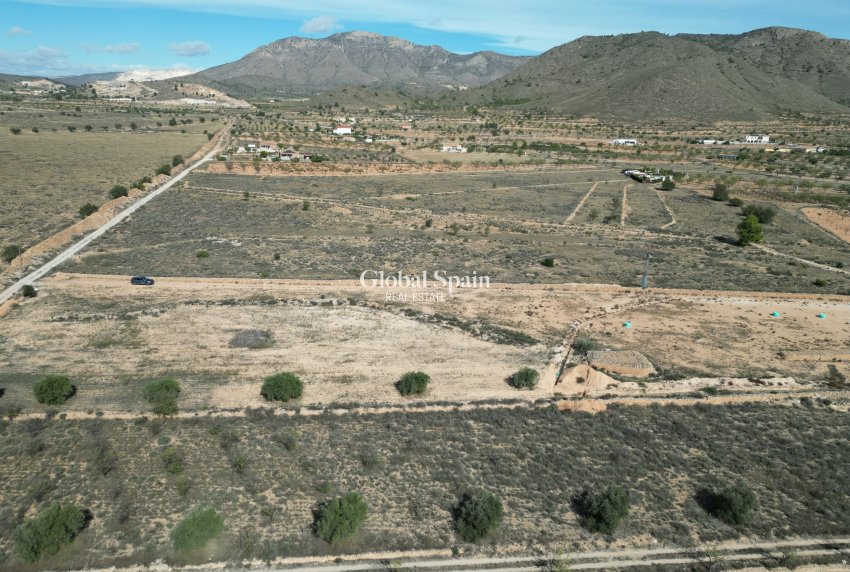 Wederverkoop - Grond -
Barbarroja