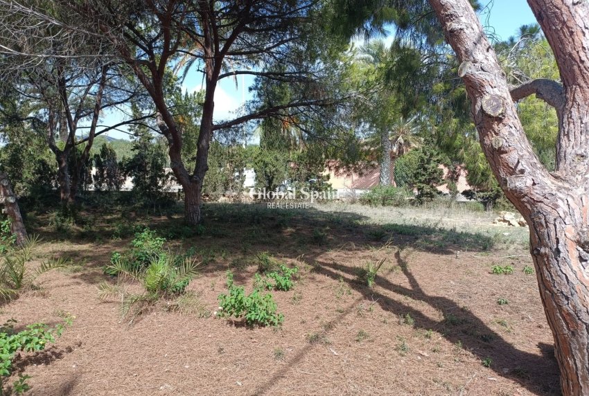 Wederverkoop - GROND -
CABO ROIG - Costa Blanca