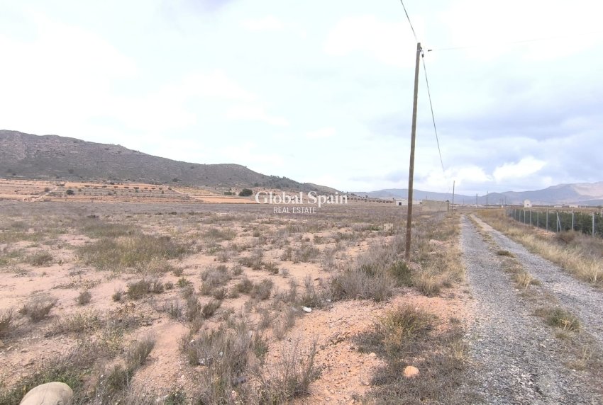 Wederverkoop - GROND -
CAÑADA DE LA LEÑA - Inland