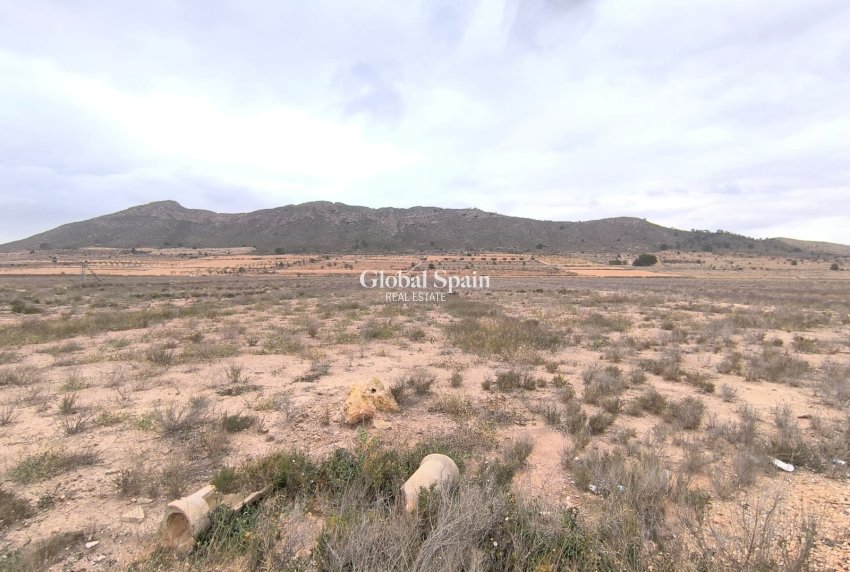 Wederverkoop - GROND -
CAÑADA DE LA LEÑA - Inland