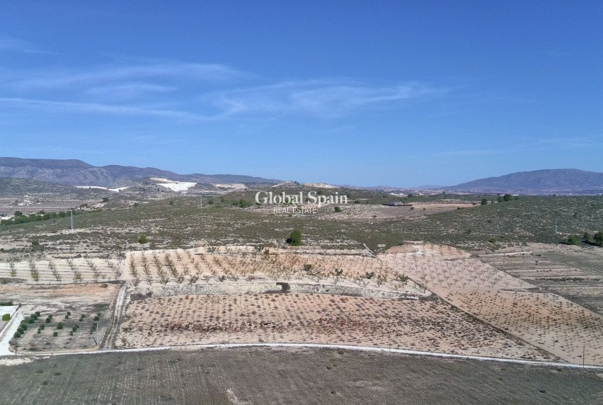 Wederverkoop - GROND -
CAÑADA DEL TRIGO - Inland