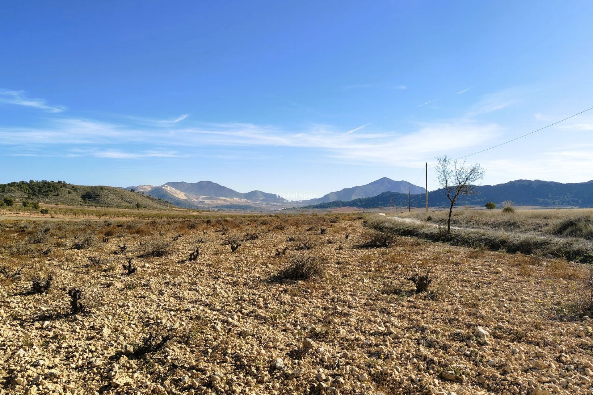 Wederverkoop - GROND -
CAÑADA DEL TRIGO - Inland