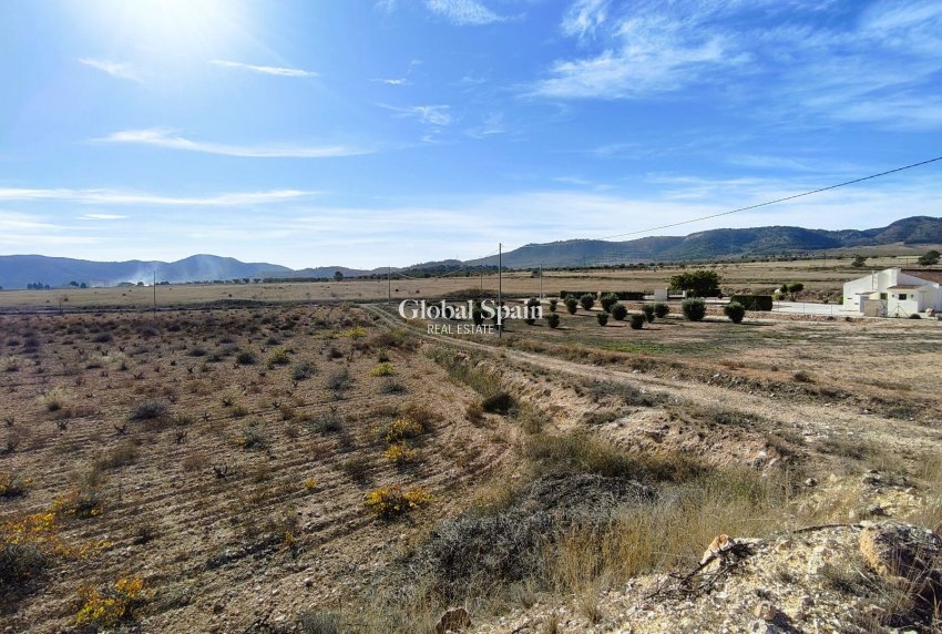 Wederverkoop - GROND -
CAÑADA DEL TRIGO - Inland