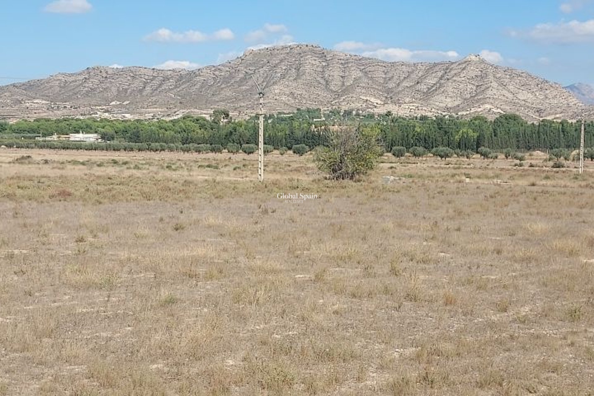 Wederverkoop - GROND -
HONDÓN DE LAS NIEVES - Inland