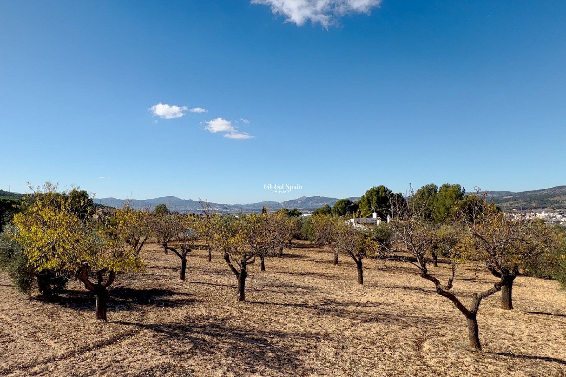 Wederverkoop - GROND -
IBI - Costa Blanca