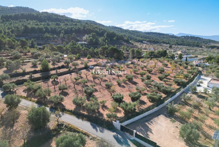 Wederverkoop - GROND -
IBI - Costa Blanca