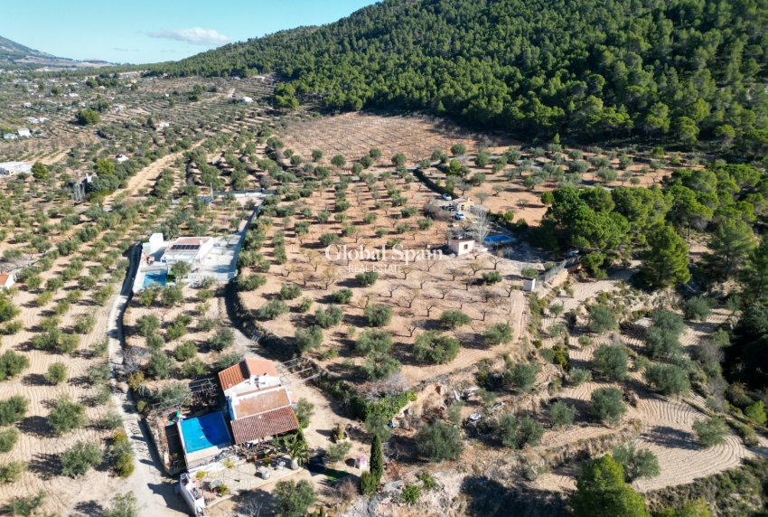 Wederverkoop - GROND -
IBI - Costa Blanca