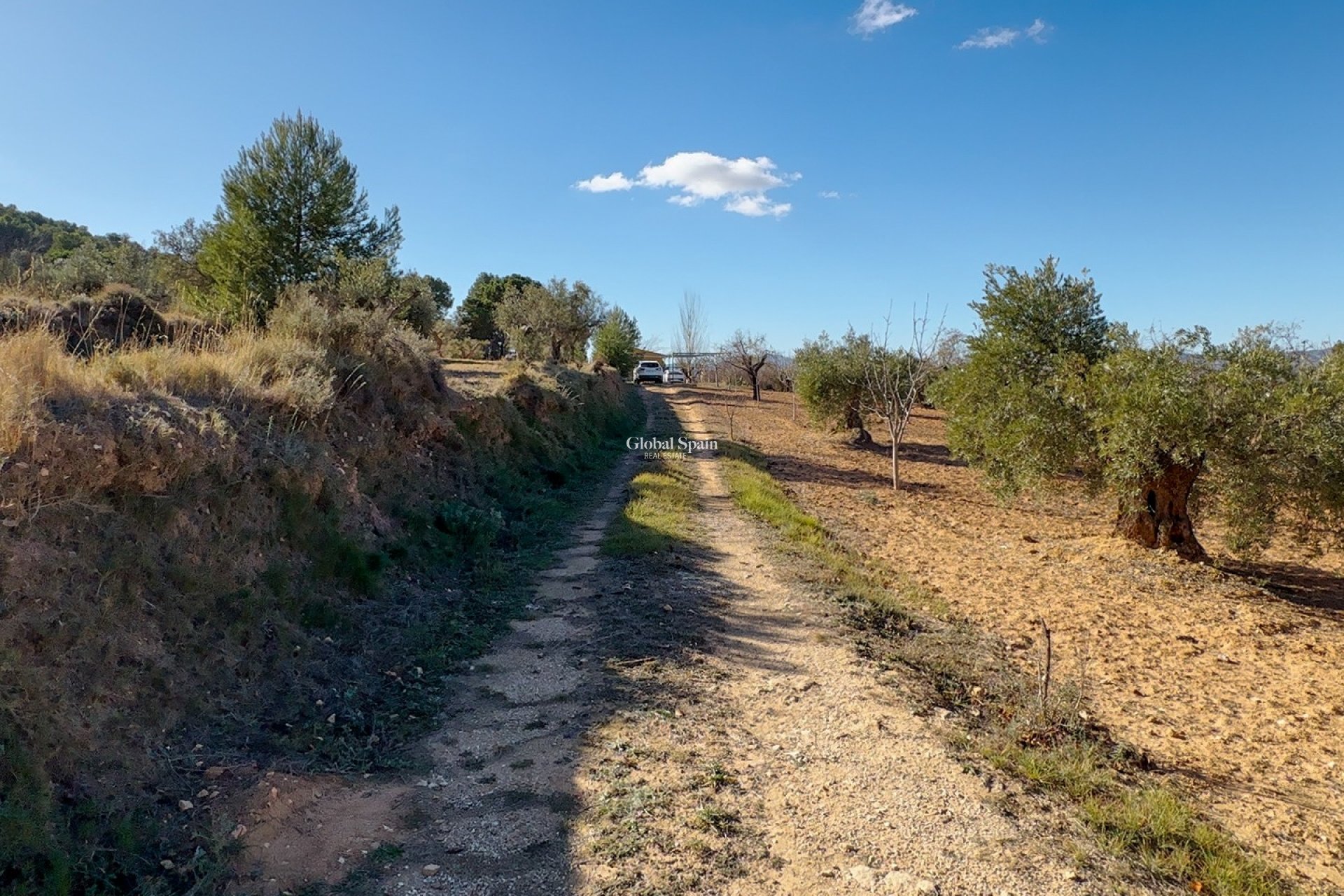 Wederverkoop - GROND -
IBI - Costa Blanca