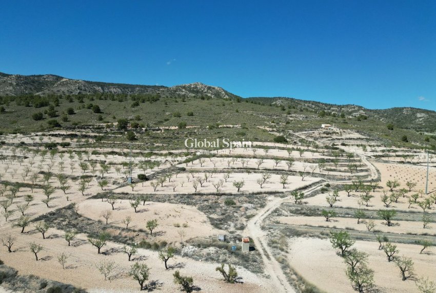 Wederverkoop - GROND -
LA ALBERQUILLA - La Alberquila