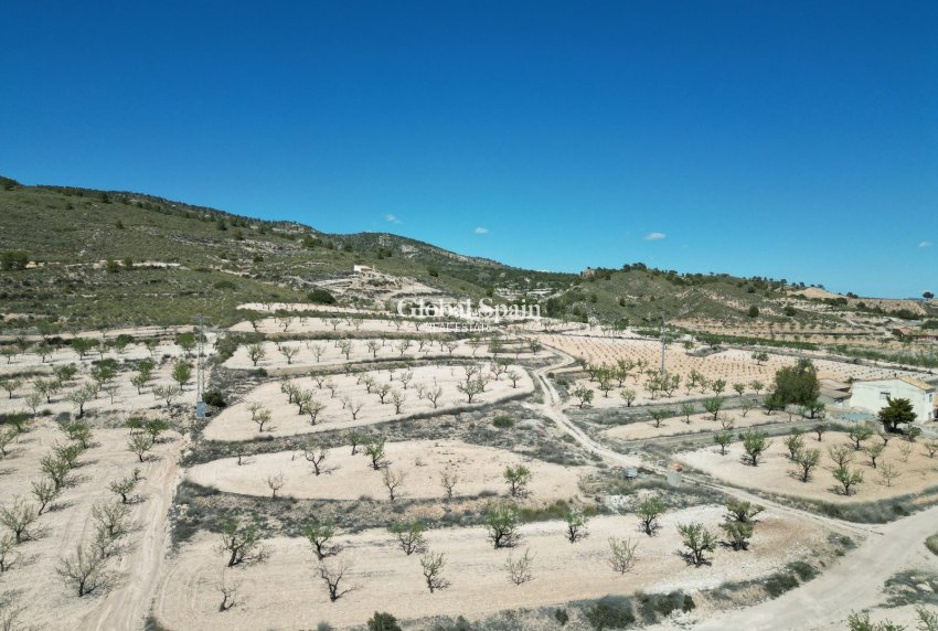 Wederverkoop - GROND -
LA ALBERQUILLA - La Alberquila