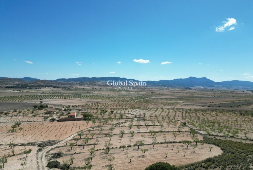 Wederverkoop - GROND -
LA ALBERQUILLA - La Alberquila